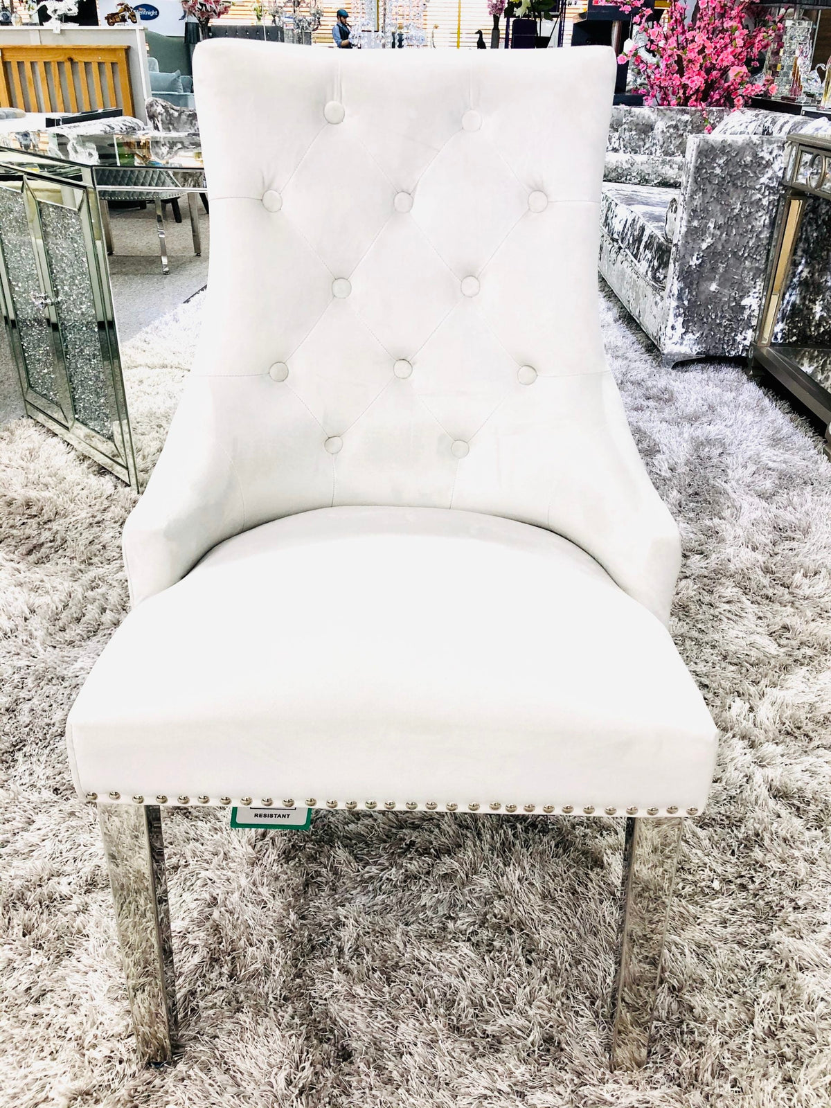 Set Of 2 Majestic Silver Dining Chair With Lion Knocker